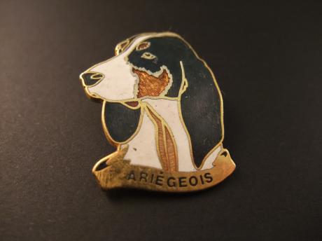 Ariégeois Frans hondenras ( speurhond)